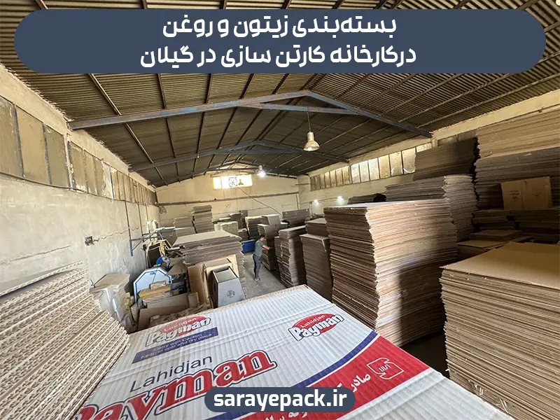 بسته‌بندی زیتون و روغن درکارخانه کارتن سازی در گیلان