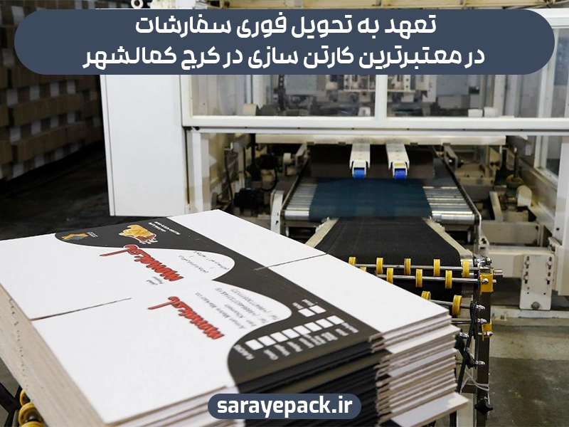 کارخانه کارتن سازی در 