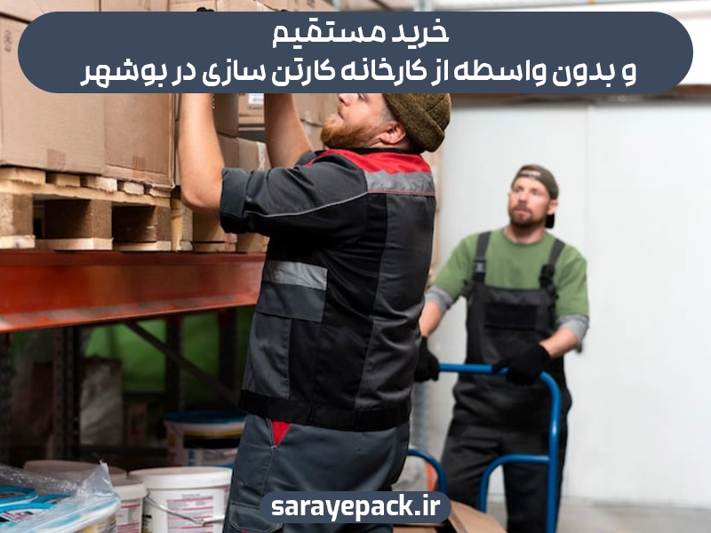 کارخانه کارتن سازی در بوشهر