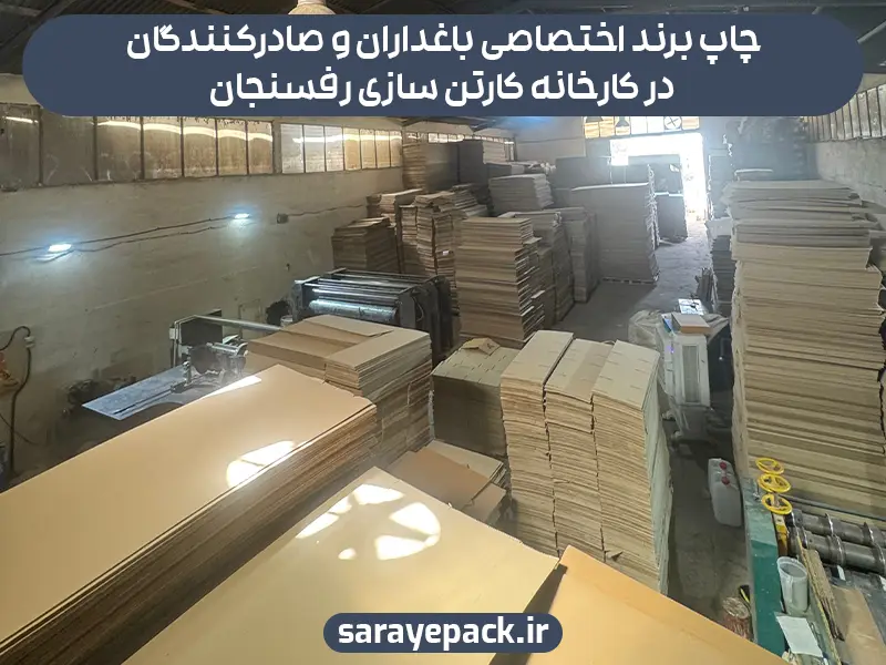 کارخانه کارتن سازی رفسنجان