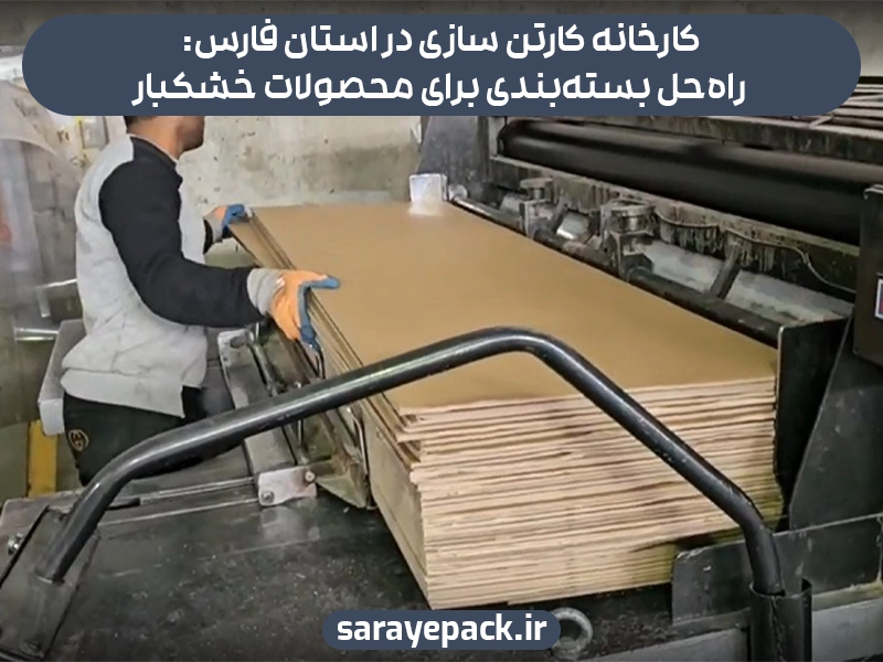 کارخانه کارتن سازی در استان فارس: راه‌حل بسته‌بندی برای محصولات خشکبار