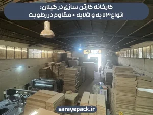 کارخانه کارتن سازی در گیلان