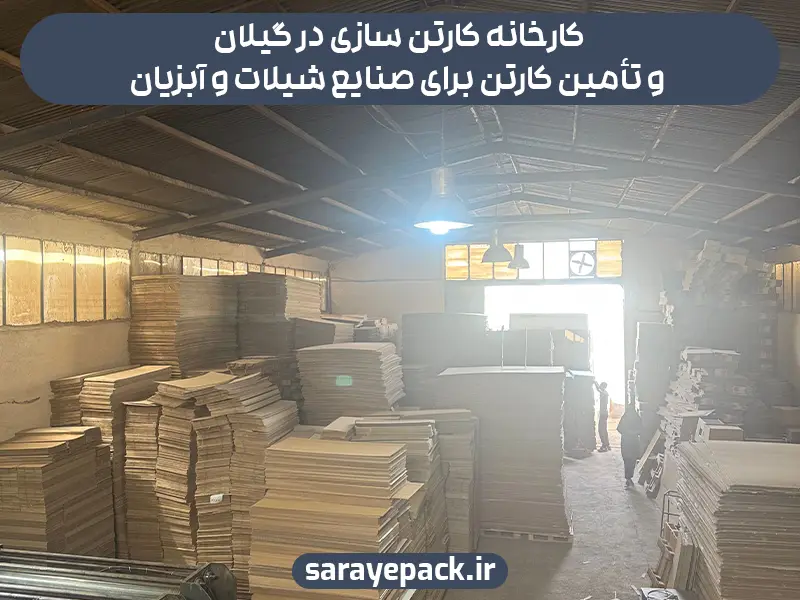 کارخانه کارتن سازی در گیلان