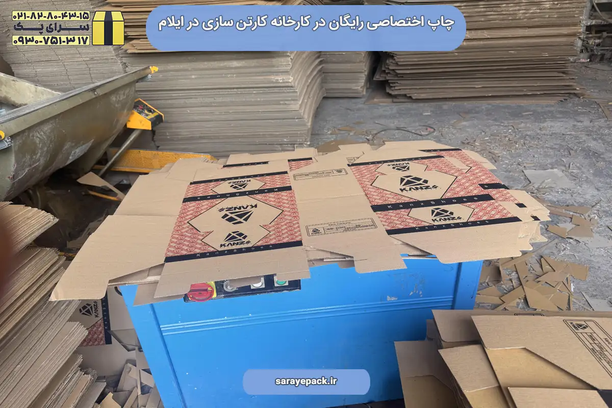 کارخانه کارتن سازی در ایلام